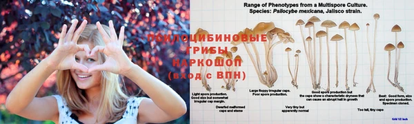 тгк Пересвет