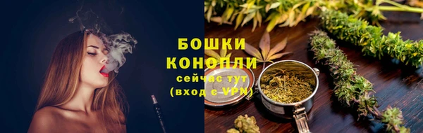 индика Переславль-Залесский