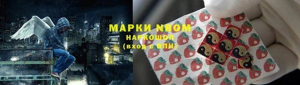 тгк Пересвет