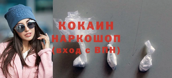 индика Переславль-Залесский