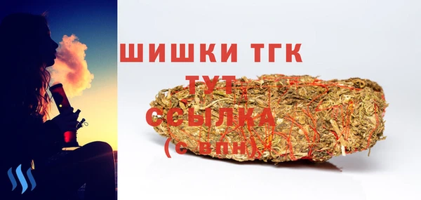 индика Переславль-Залесский