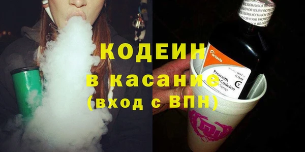 тгк Пересвет