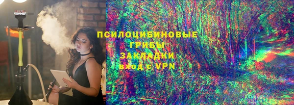 тгк Пересвет