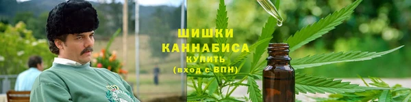 сатива Пестово