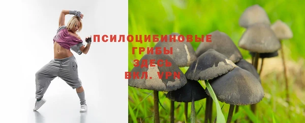 сатива Пестово