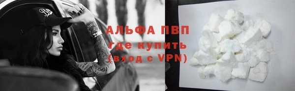 сатива Пестово