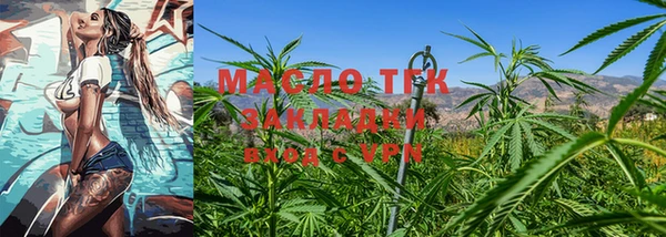 индика Переславль-Залесский