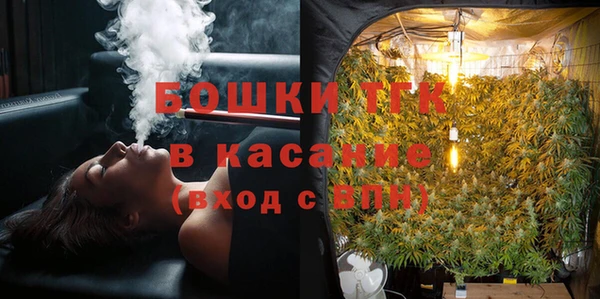 индика Переславль-Залесский
