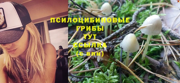 тгк Пересвет
