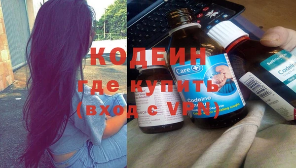 индика Переславль-Залесский
