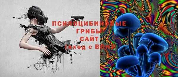 тгк Пересвет