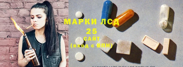 индика Переславль-Залесский