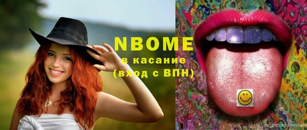 индика Переславль-Залесский