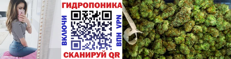 Конопля White Widow  где найти наркотики  Советский 